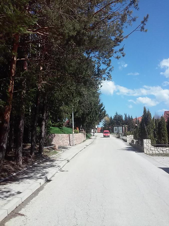 Apartmani Kovacevic Zlatibor Buitenkant foto